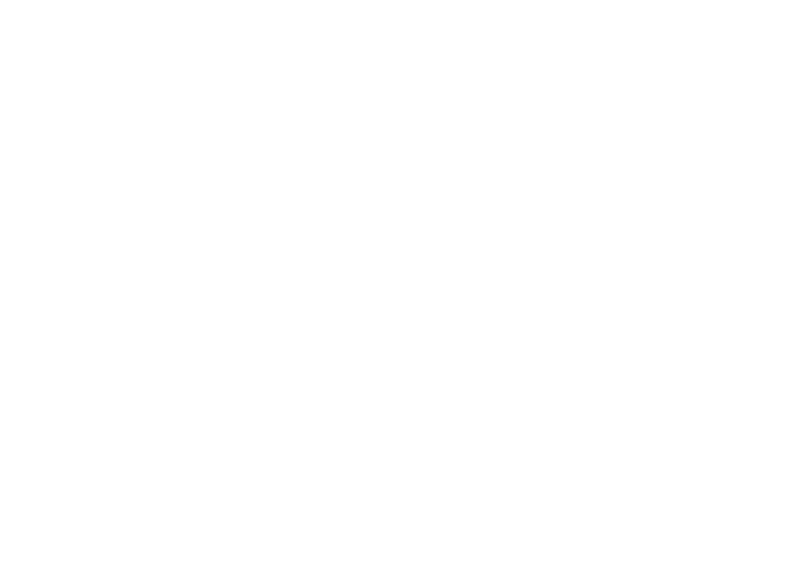 VFFF-Logo_White